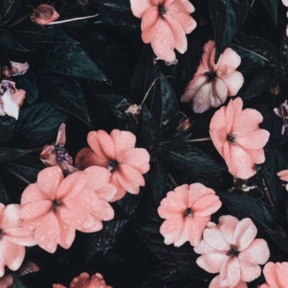 Meet your Posher, Leticia